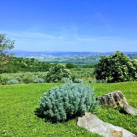 Agriturismo Podere Prataccio グロッセート エクステリア 写真