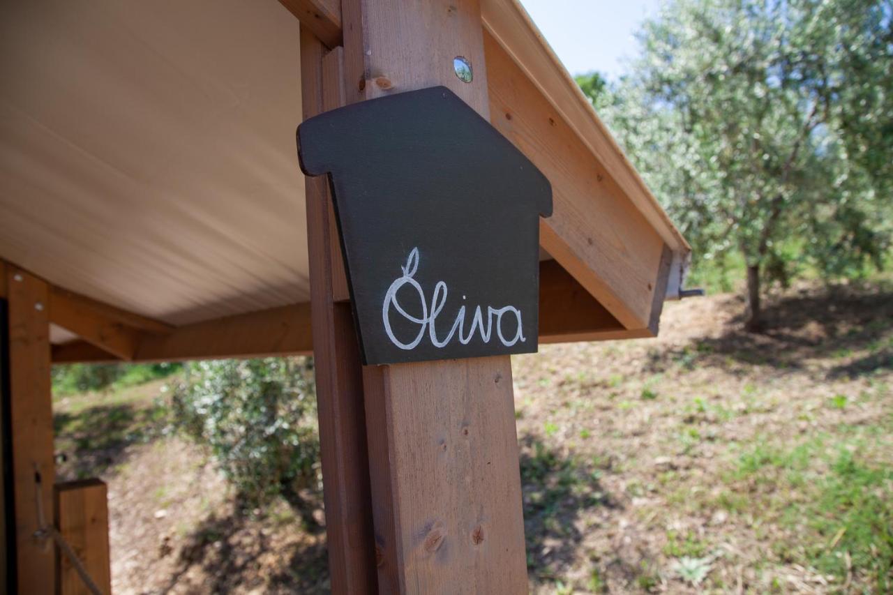 Agriturismo Podere Prataccio グロッセート エクステリア 写真