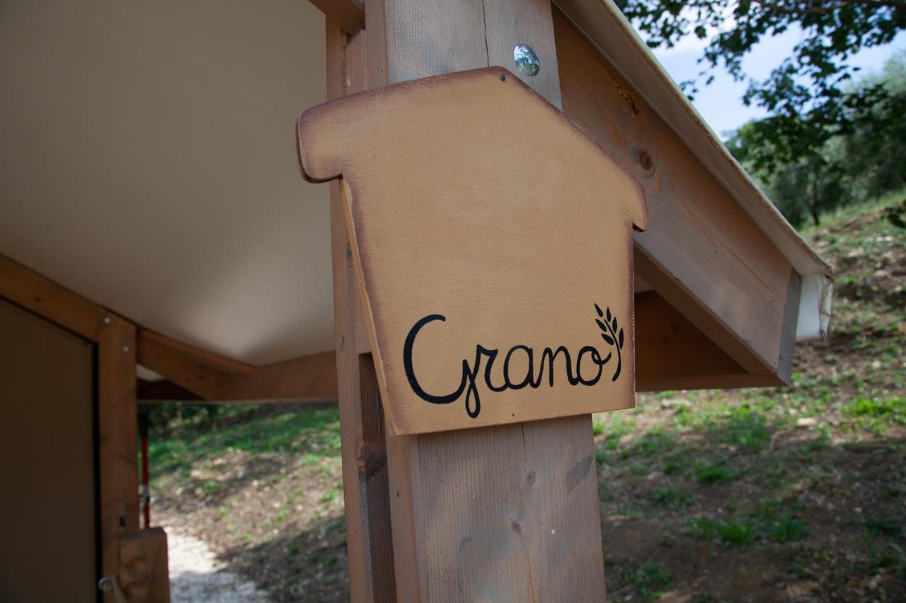 Agriturismo Podere Prataccio グロッセート エクステリア 写真