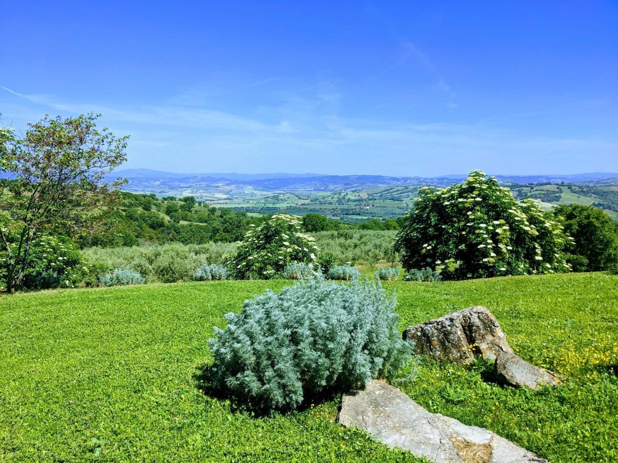 Agriturismo Podere Prataccio グロッセート エクステリア 写真