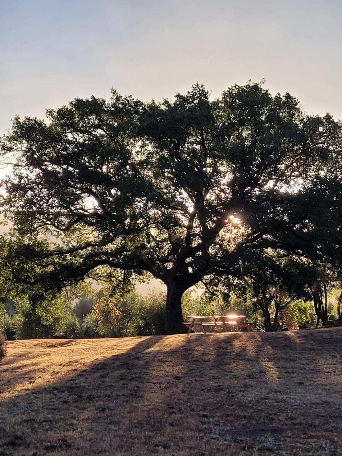 Agriturismo Podere Prataccio グロッセート エクステリア 写真